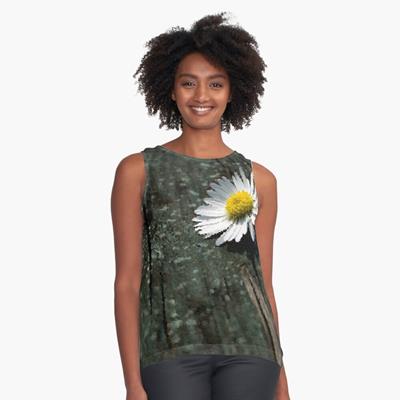 White Daisy on Wood Deck