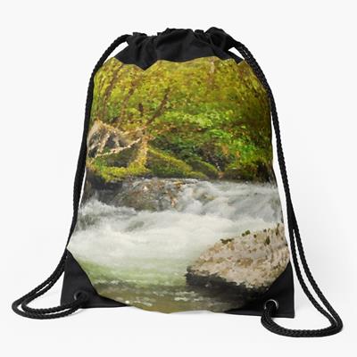 White Water in a Rocky Stream