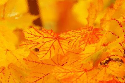 Yellow Leaf Pile