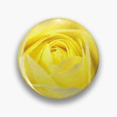Yellow Rose
